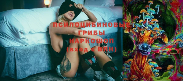прущая мука Гусев
