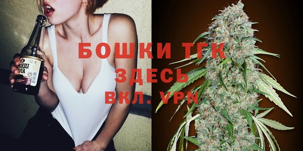 дживик Гусь-Хрустальный