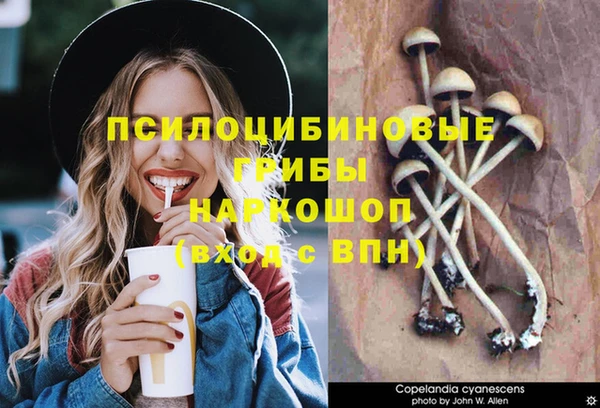 стафф Дмитриев